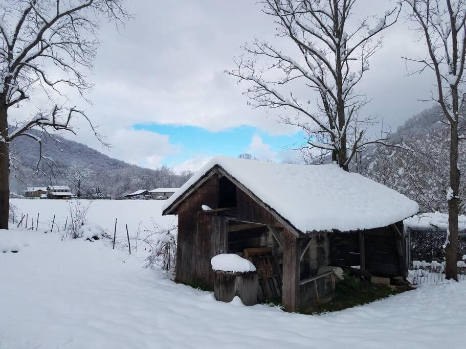 Country Mountain Escape! Villa Barnardsville Eksteriør billede